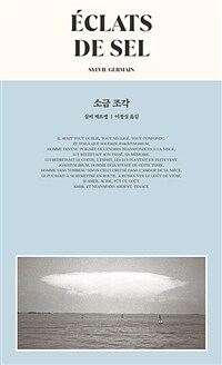 소금 조각