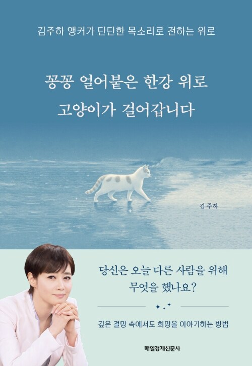 꽁꽁 얼어붙은 한강 위로 고양이가 걸어갑니다 - 김주하 앵커가 단단한 목소리로 전하는 위로